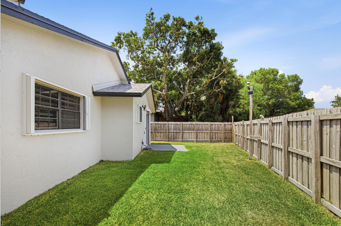 110DaniaBackyard3